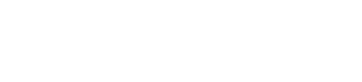 Denison Realty L.L.C.